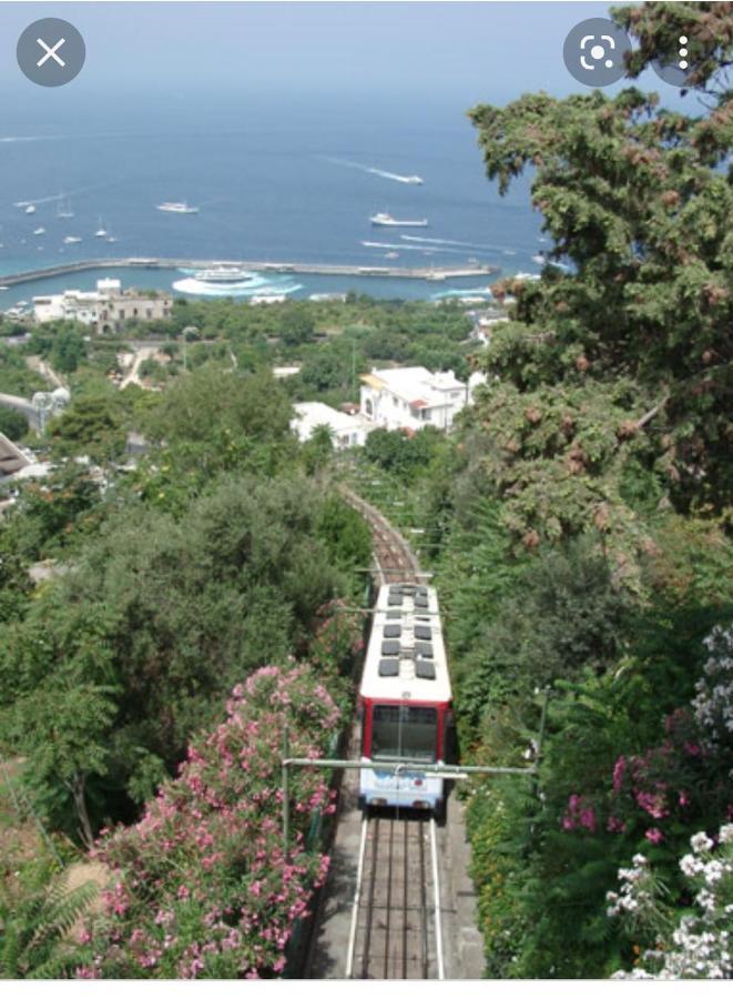 Capri Aquarium Family - Vacation Home Esterno foto